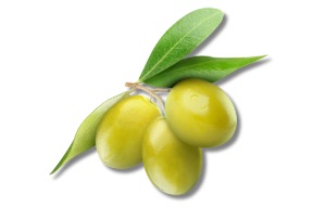 Olivenbaum